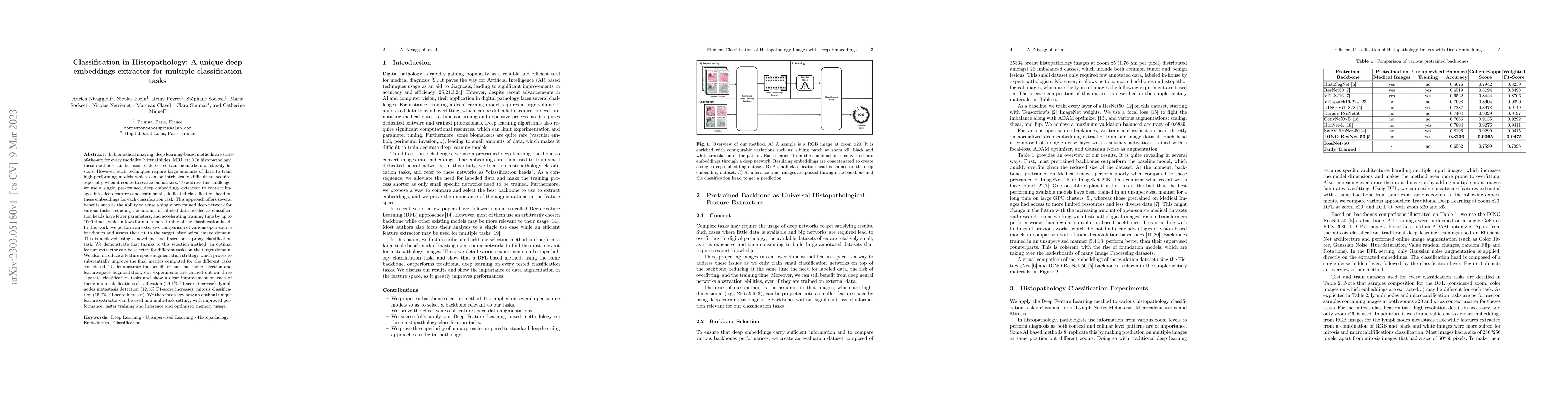 Thumbnail for Classification in Histopathology: A unique deep embeddings extractor for
  multiple classification tasks