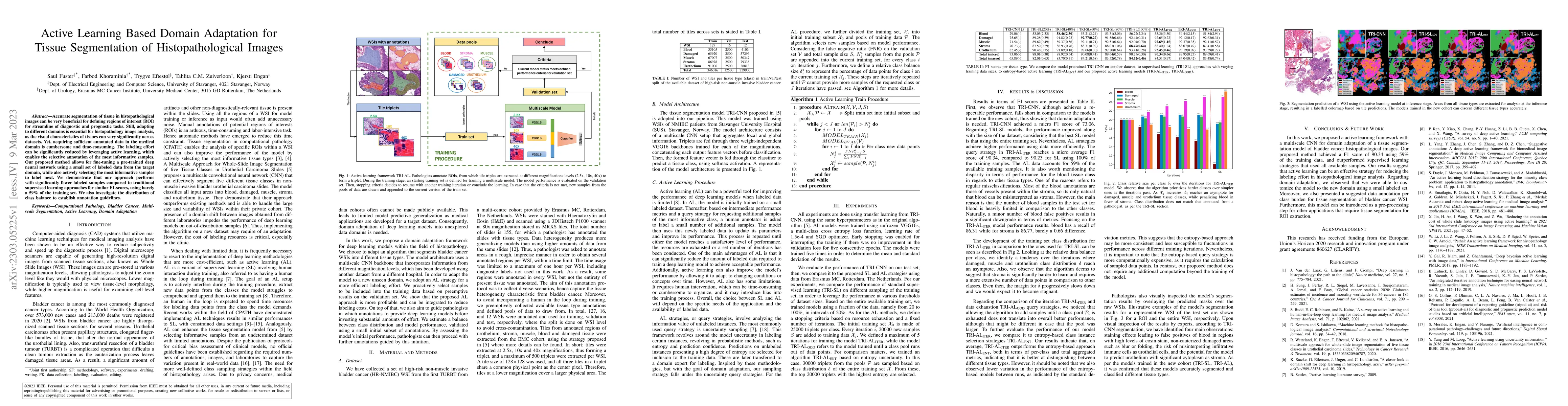 Thumbnail for Active Learning Based Domain Adaptation for Tissue Segmentation of
  Histopathological Images