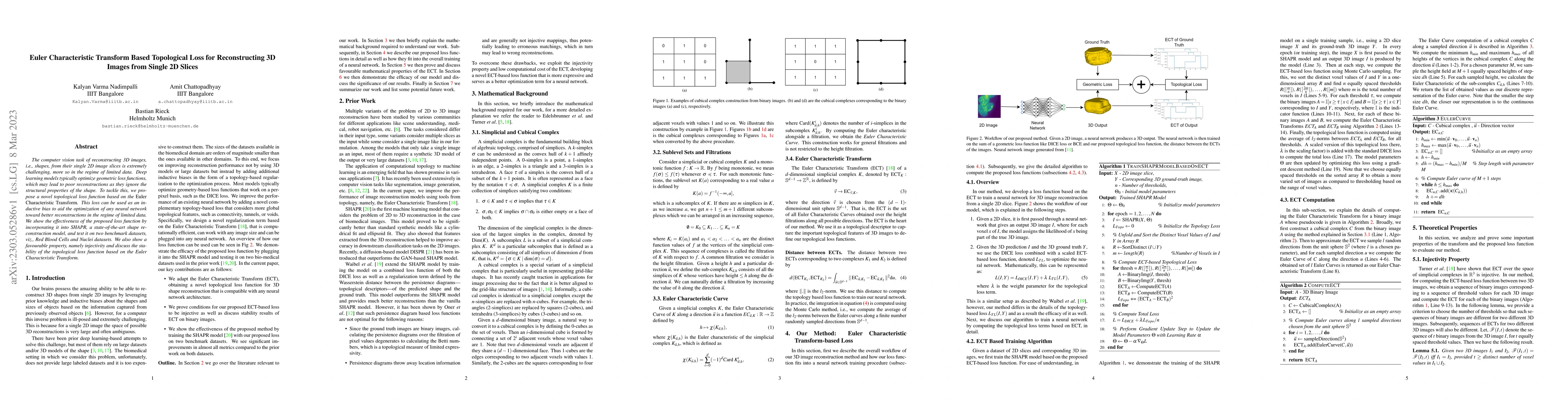 Thumbnail for Euler Characteristic Transform Based Topological Loss for Reconstructing
  3D Images from Single 2D Slices