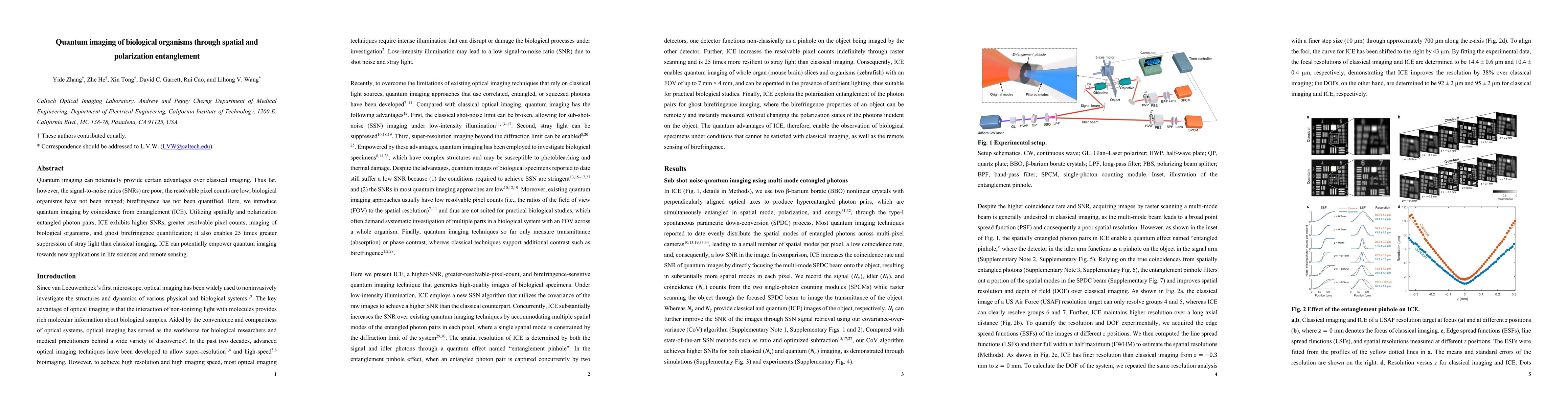 Thumbnail for Quantum imaging of biological organisms through spatial and polarization
  entanglement