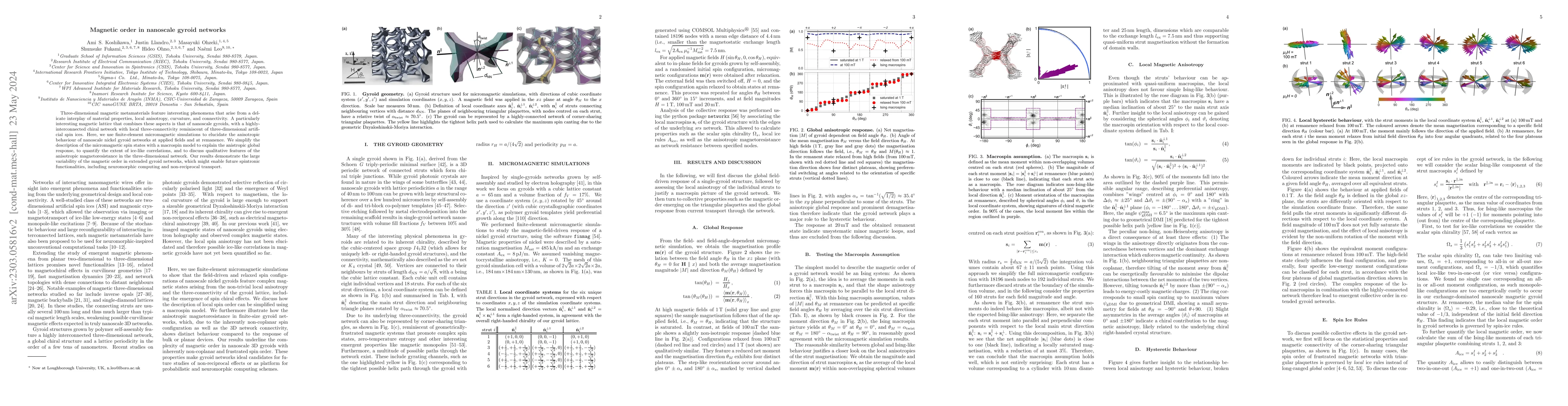 Thumbnail for Magnetic order in nanoscale gyroid networks