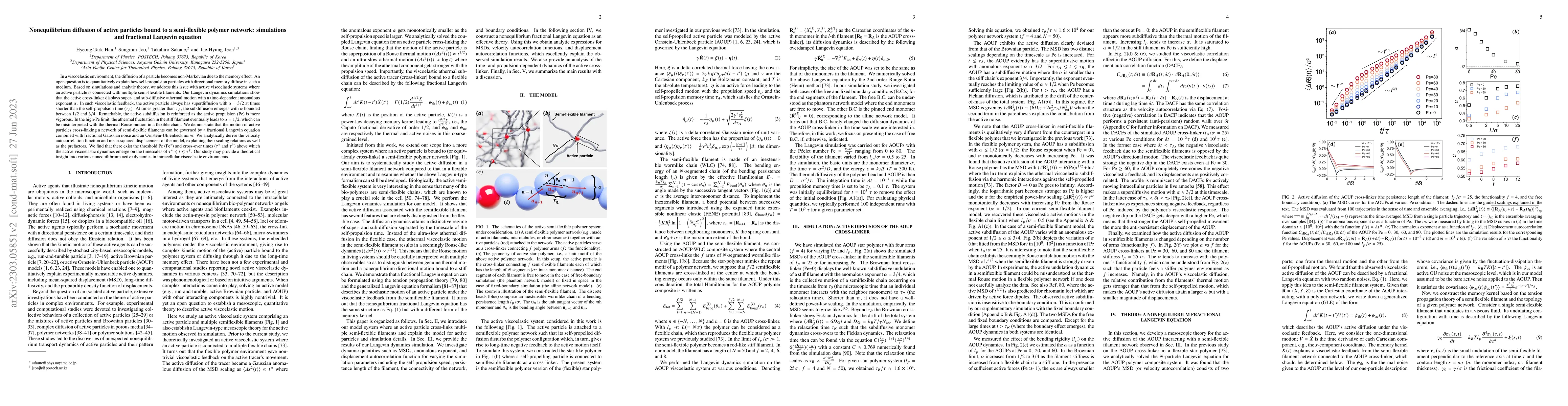 Thumbnail for Nonequilibrium diffusion of active particles bound to a semi-flexible
  polymer network: simulations and fractional Langevin equation
