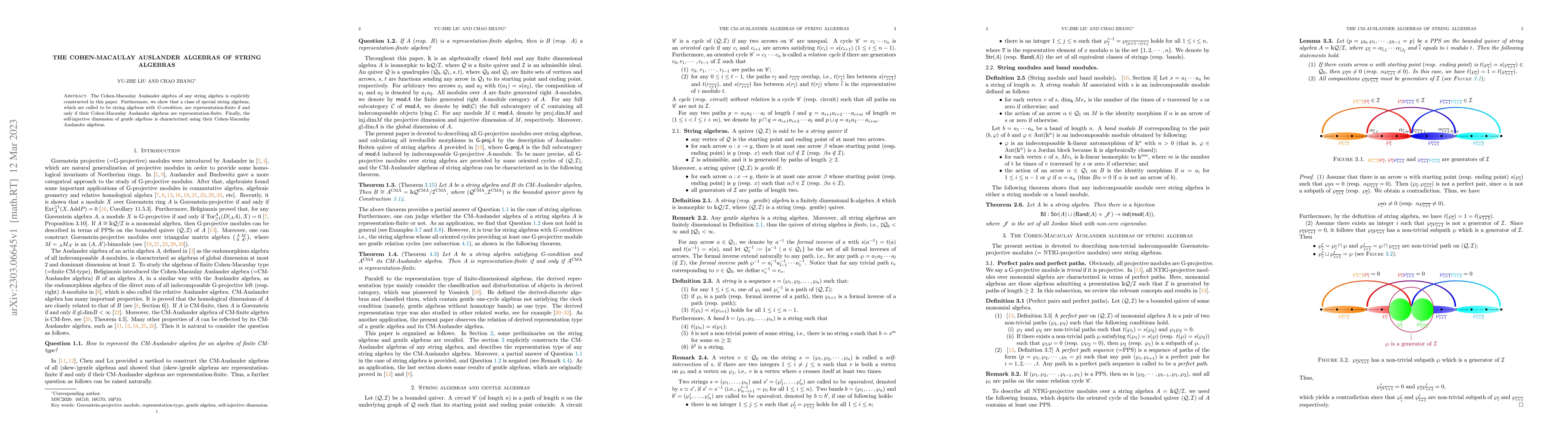 Thumbnail for The Cohen-Macaulay Auslander algebras of string algebras