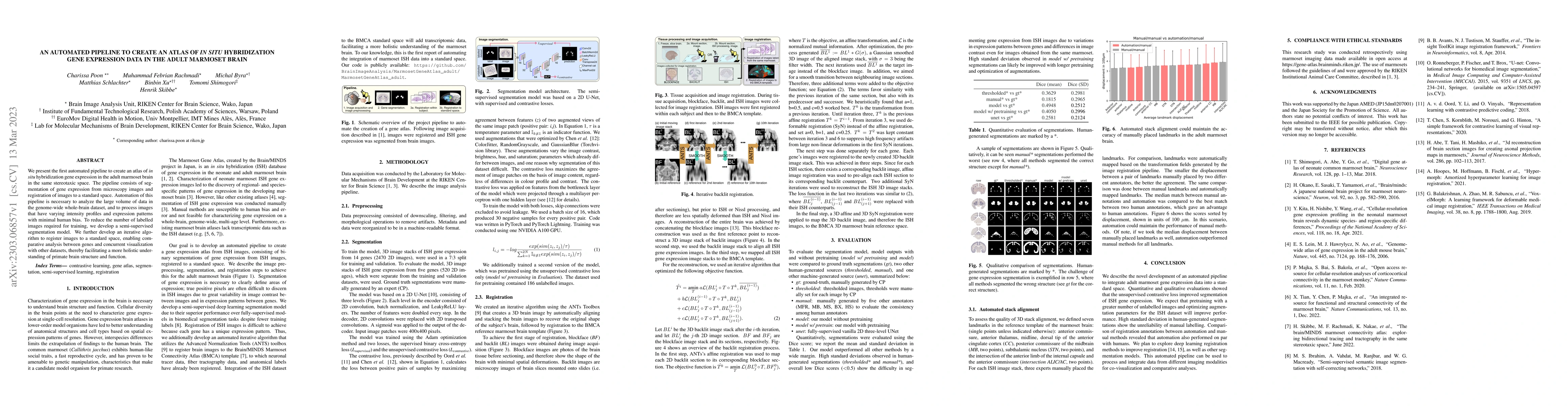 Thumbnail for An automated pipeline to create an atlas of in situ hybridization gene
  expression data in the adult marmoset brain