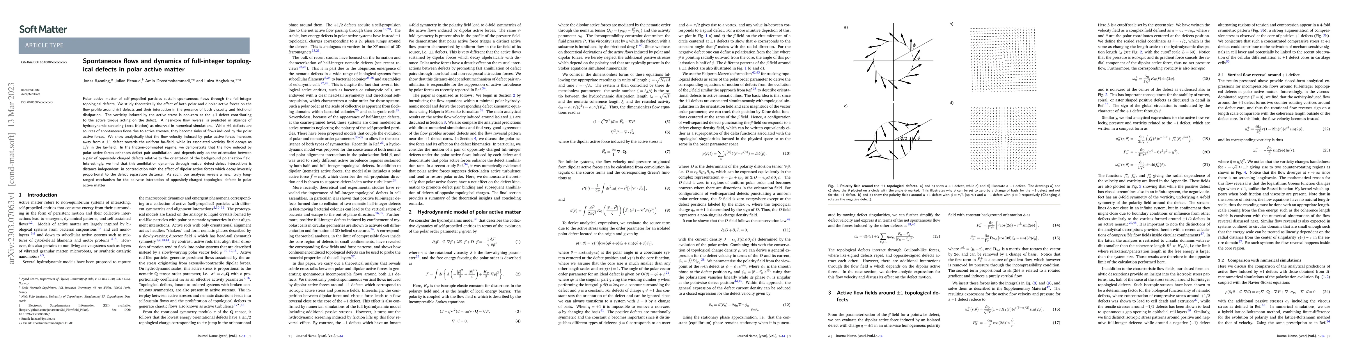 Thumbnail for Spontaneous flows and dynamics of full-integer topological defects in
  polar active matter