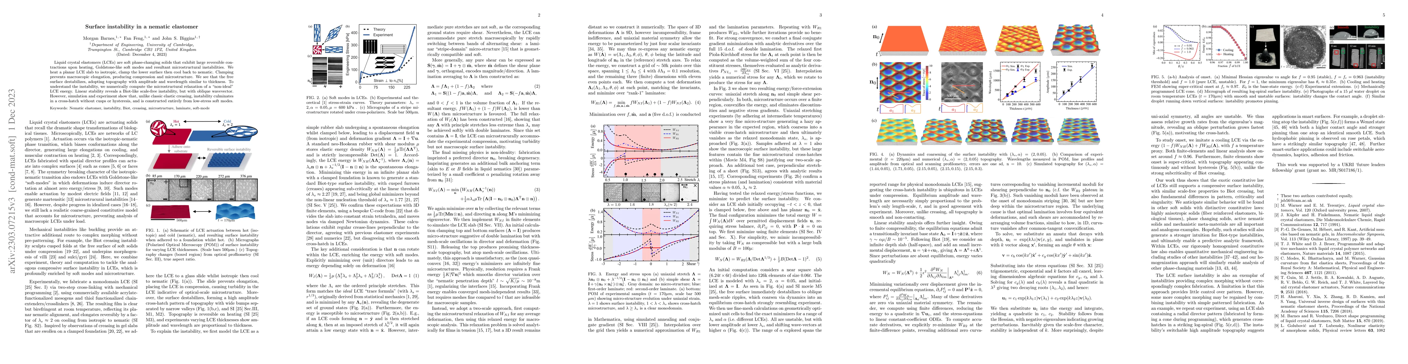 Thumbnail for Surface instability in a nematic elastomer