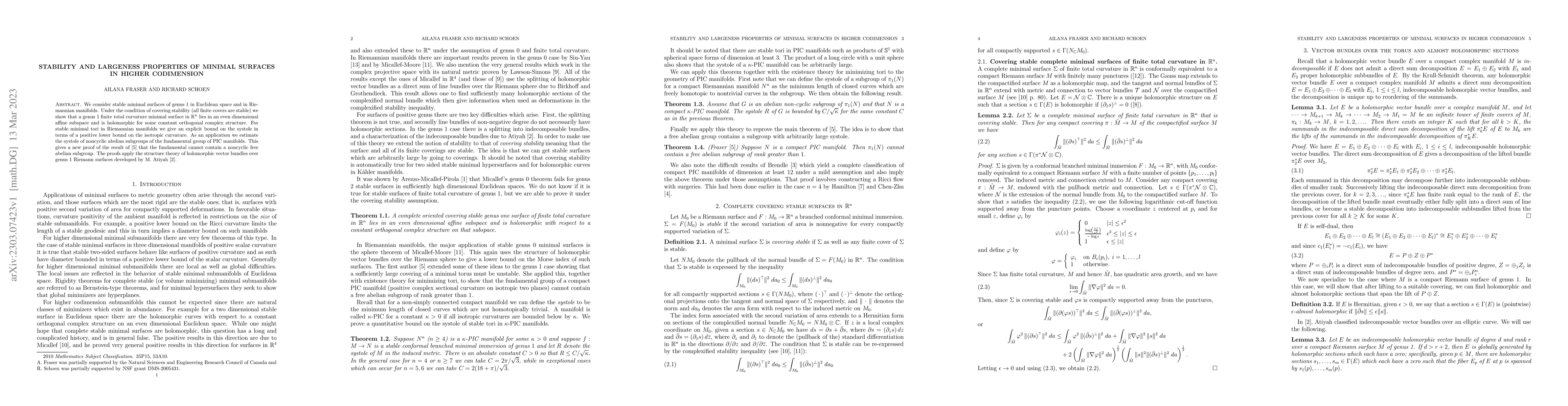 Thumbnail for Stability and largeness properties of minimal surfaces in higher
  codimension