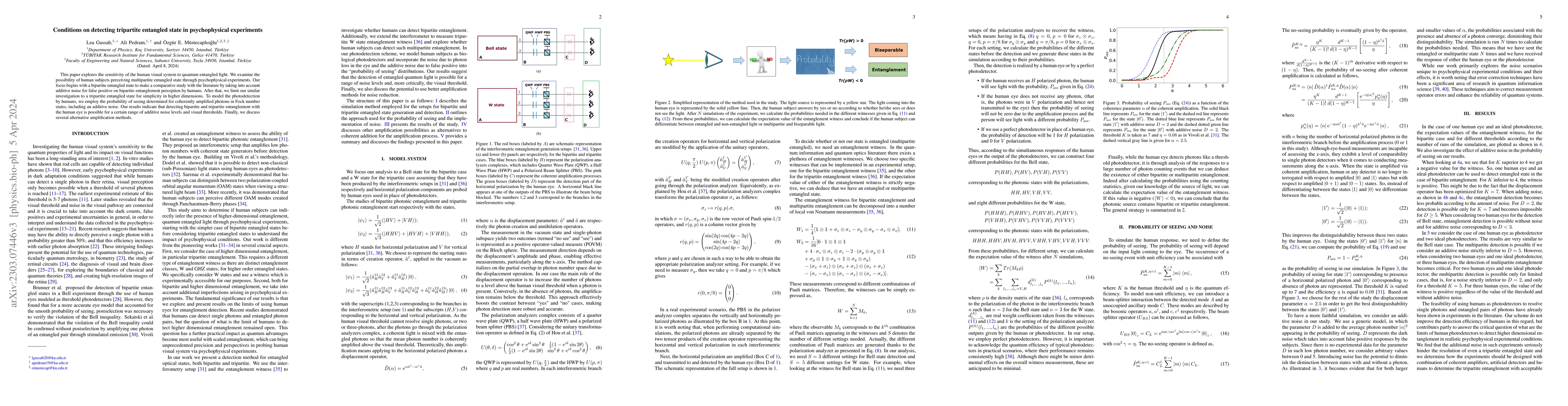 Thumbnail for Conditions on detecting tripartite entangled state in psychophysical
  experiments