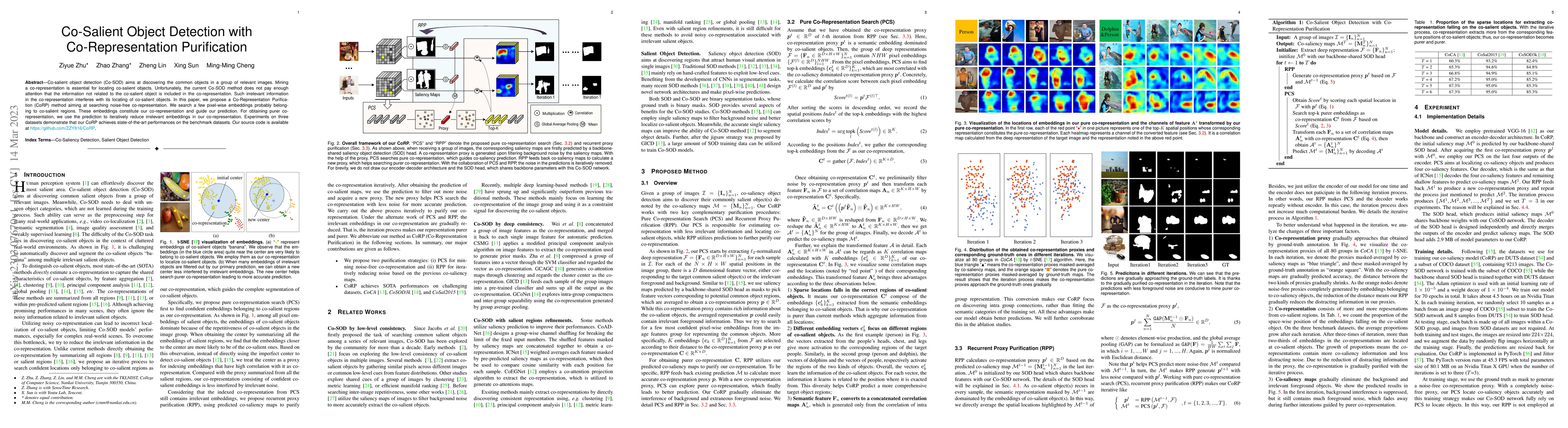 Thumbnail for Co-Salient Object Detection with Co-Representation Purification