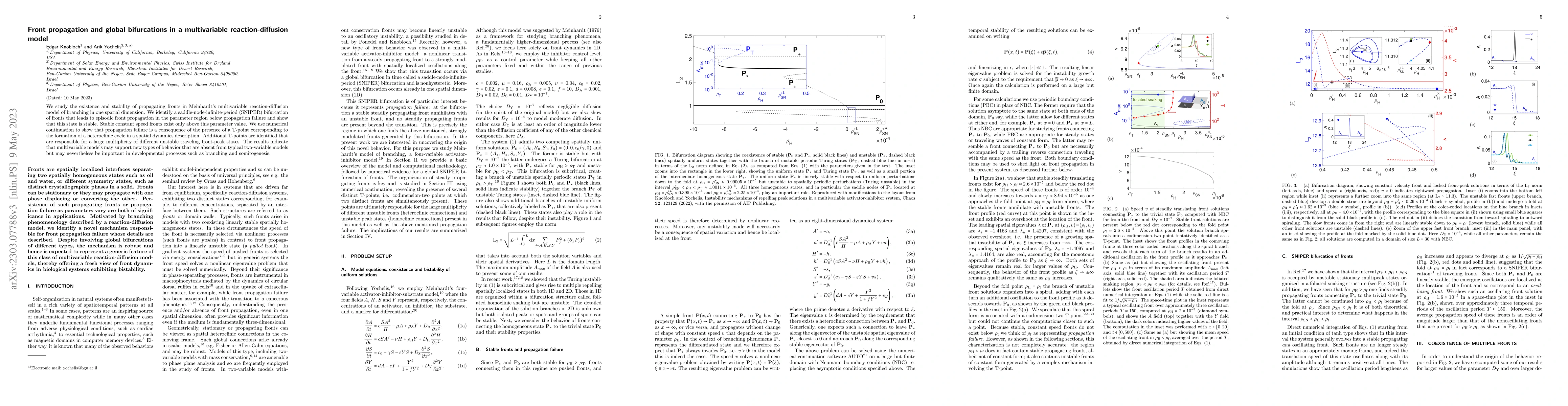 Thumbnail for Front propagation and global bifurcations in a multivariable
  reaction-diffusion model