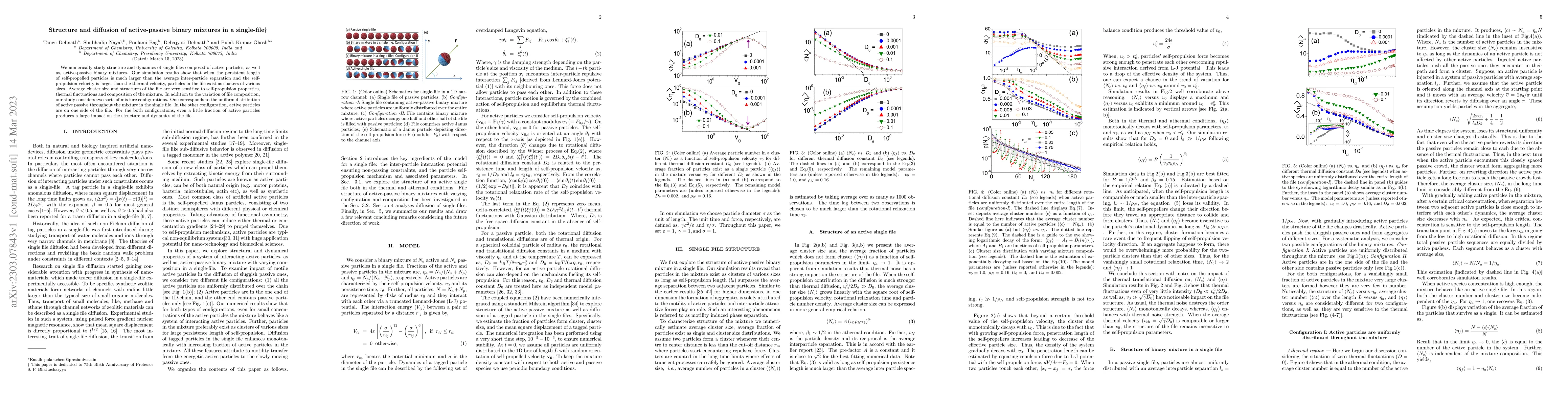 Thumbnail for Structure and diffusion of active-passive binary mixtures in a
  single-file