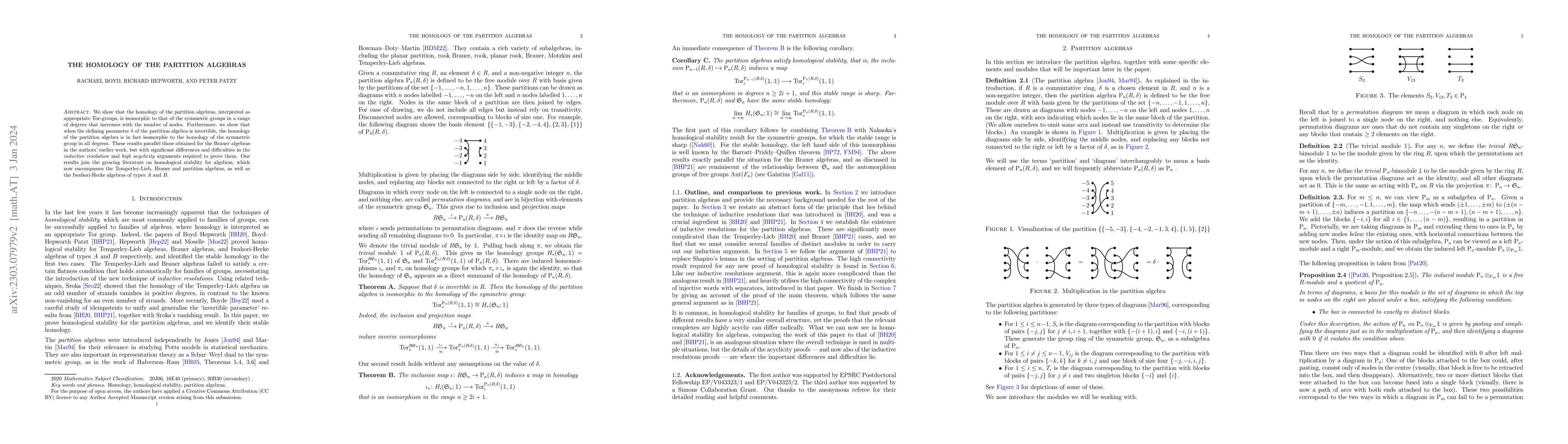 Thumbnail for The homology of the partition algebras
