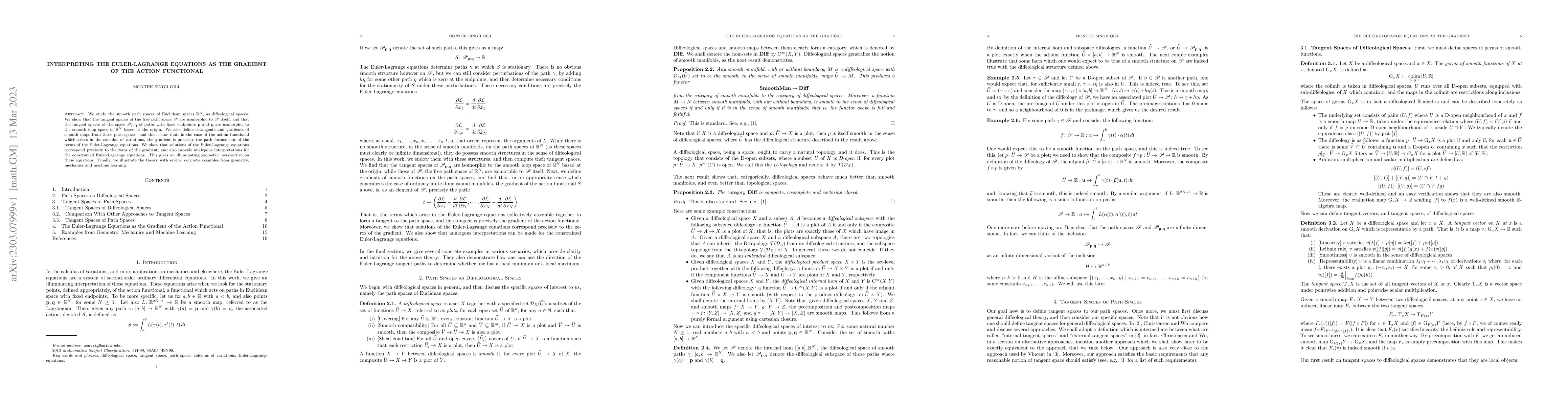 Thumbnail for Interpreting the Euler-Lagrange Equations as the Gradient of the Action
  Functional