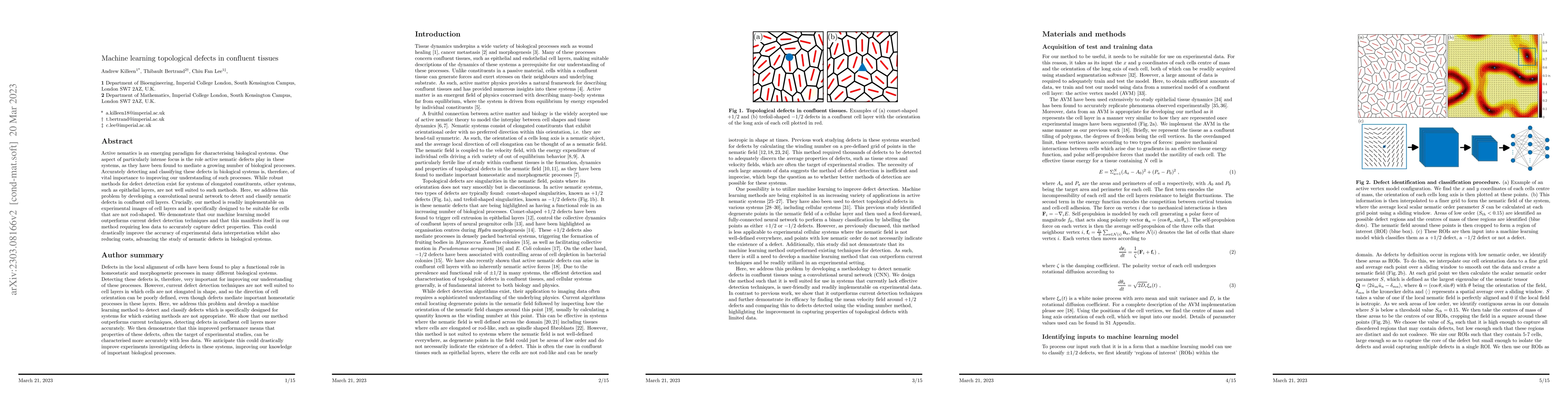 Thumbnail for Machine learning topological defects in confluent tissues