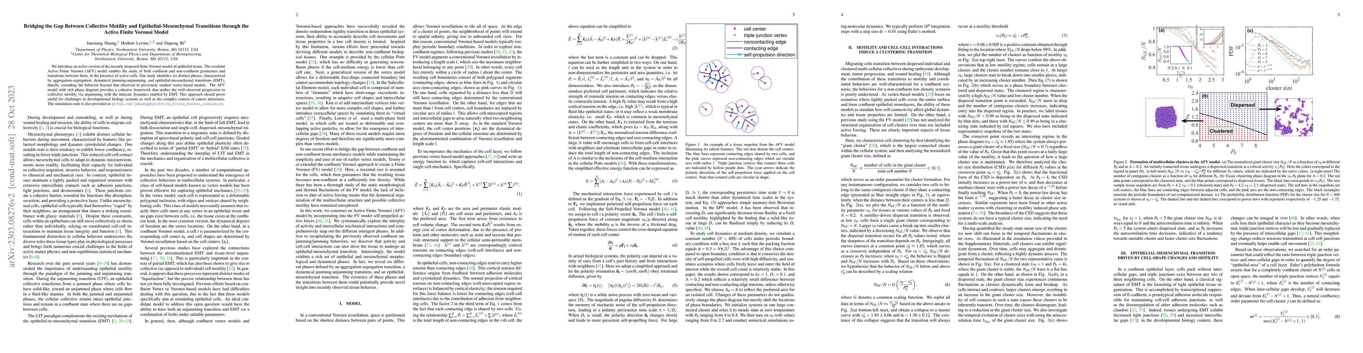 Thumbnail for Bridging the Gap Between Collective Motility and Epithelial-Mesenchymal
  Transitions through the Active Finite Voronoi Model
