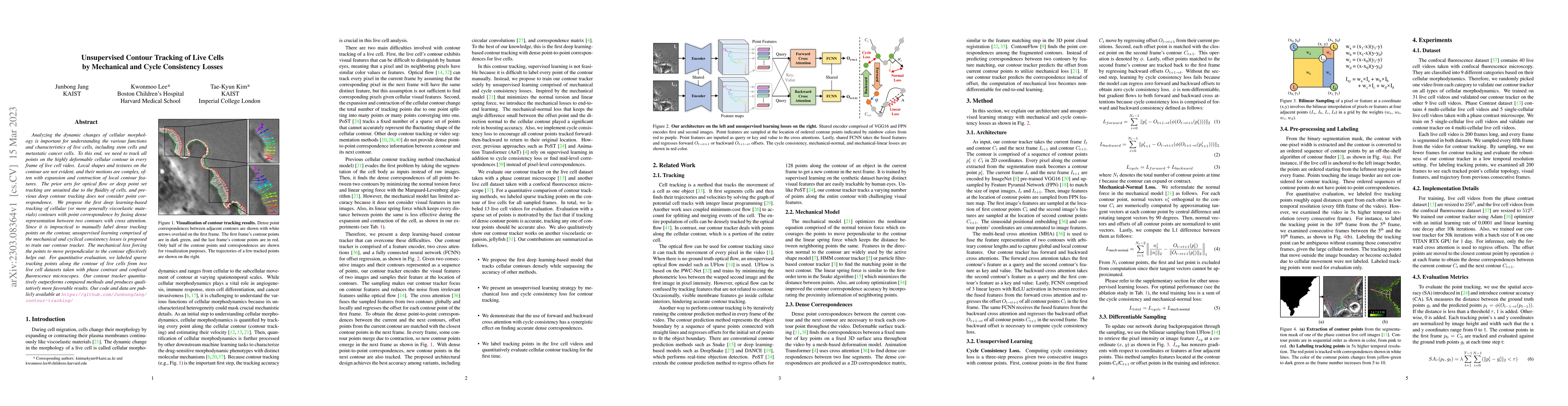 Thumbnail for Unsupervised Contour Tracking of Live Cells by Mechanical and Cycle
  Consistency Losses