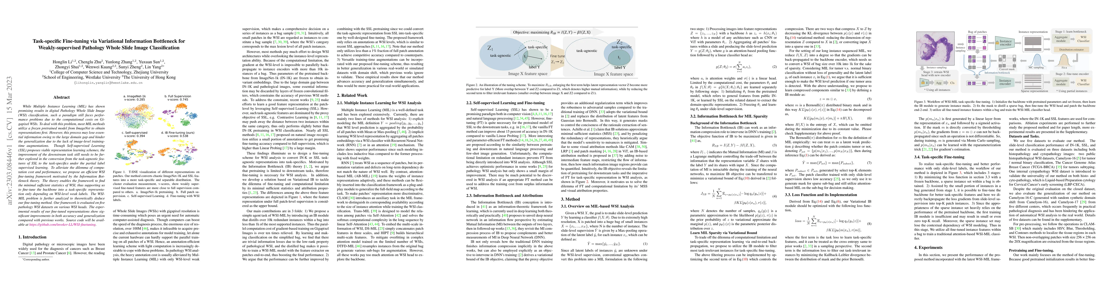Thumbnail for Task-specific Fine-tuning via Variational Information Bottleneck for
  Weakly-supervised Pathology Whole Slide Image Classification