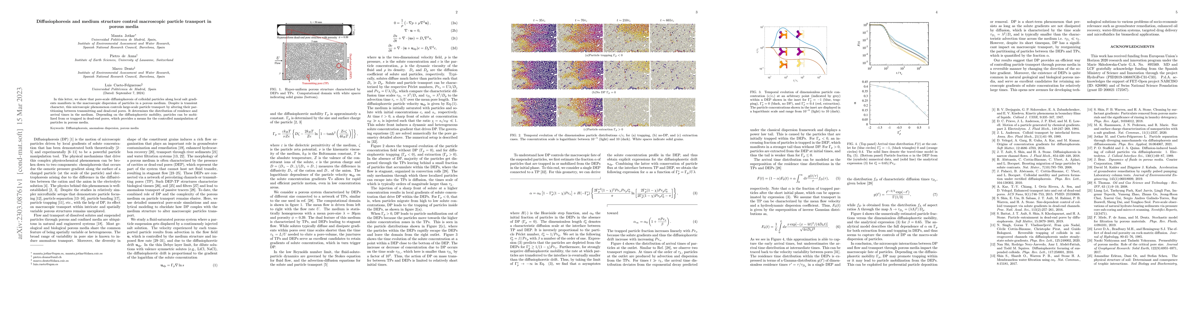 Thumbnail for Diffusiophoresis and medium structure control macroscopic particle
  transport in porous media