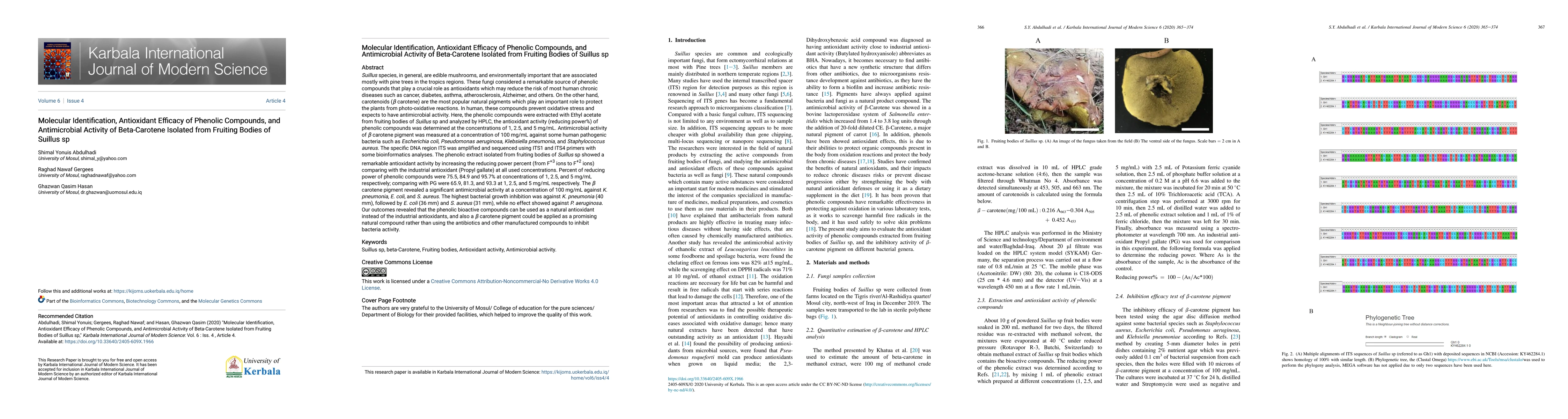 Thumbnail for Molecular Identifification, Antioxidant Effifficacy of Phenolic
  Compounds, and Antimicrobial Activity of Beta-Carotene Isolated from Fruiting
  Bodies of Suillus sp