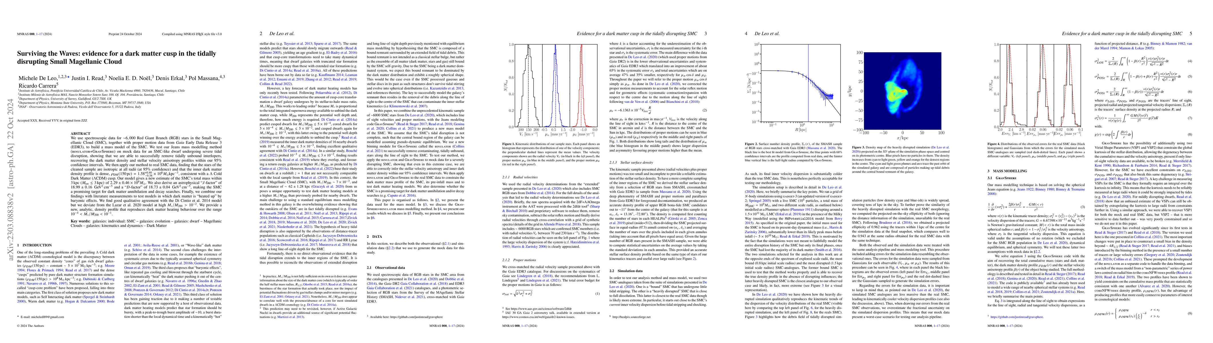 Thumbnail for Surviving the Waves: evidence for a Dark Matter cusp in the tidally
  disrupting Small Magellanic Cloud