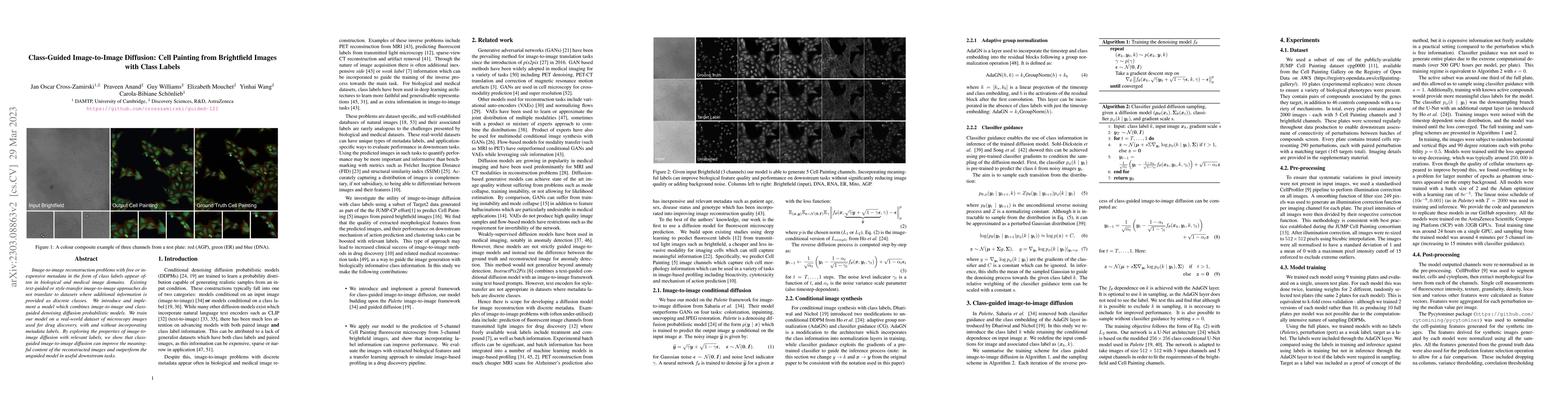 Thumbnail for Class-Guided Image-to-Image Diffusion: Cell Painting from Brightfield
  Images with Class Labels