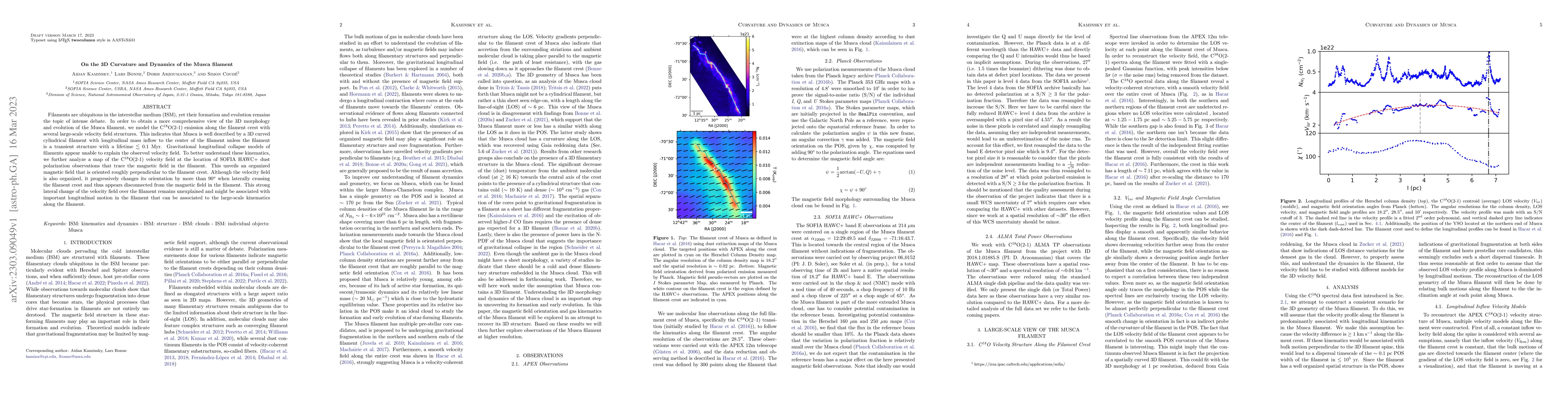 Thumbnail for On the 3D Curvature and Dynamics of the Musca filament