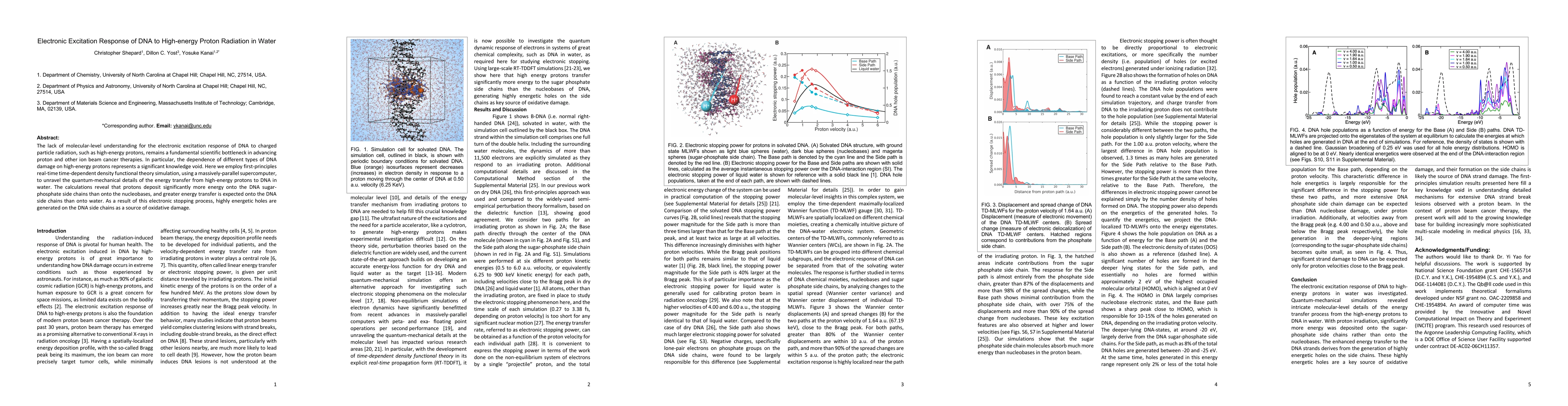 Thumbnail for Electronic Excitation Response of DNA to High-energy Proton Radiation in
  Water