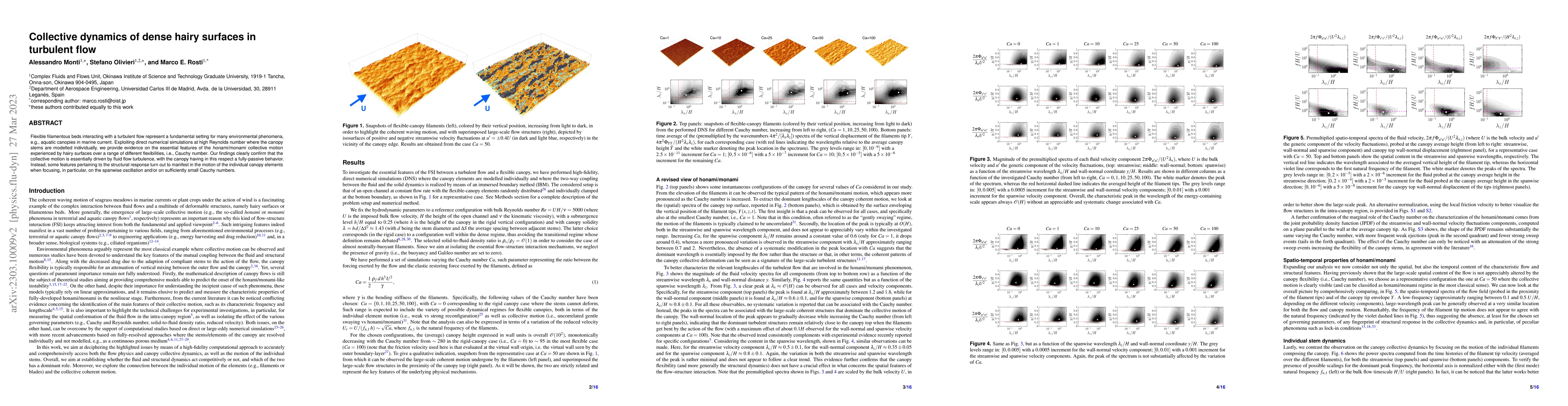 Thumbnail for Collective dynamics of dense hairy surfaces in turbulent flow