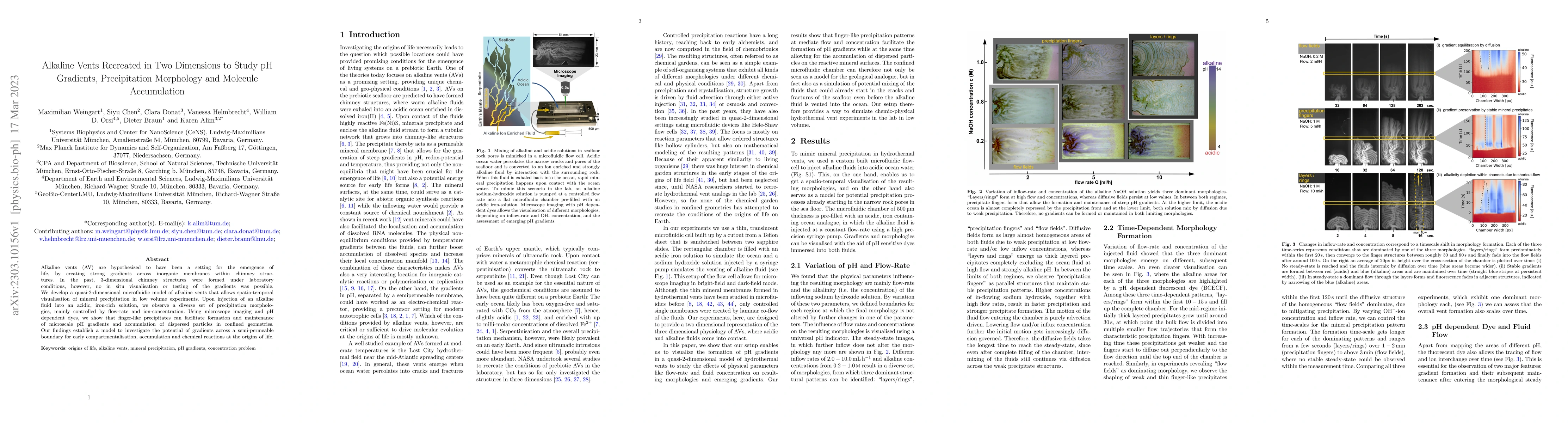 Thumbnail for Alkaline vents recreated in two dimensions to study pH gradients,
  precipitation morphology and molecule accumulation