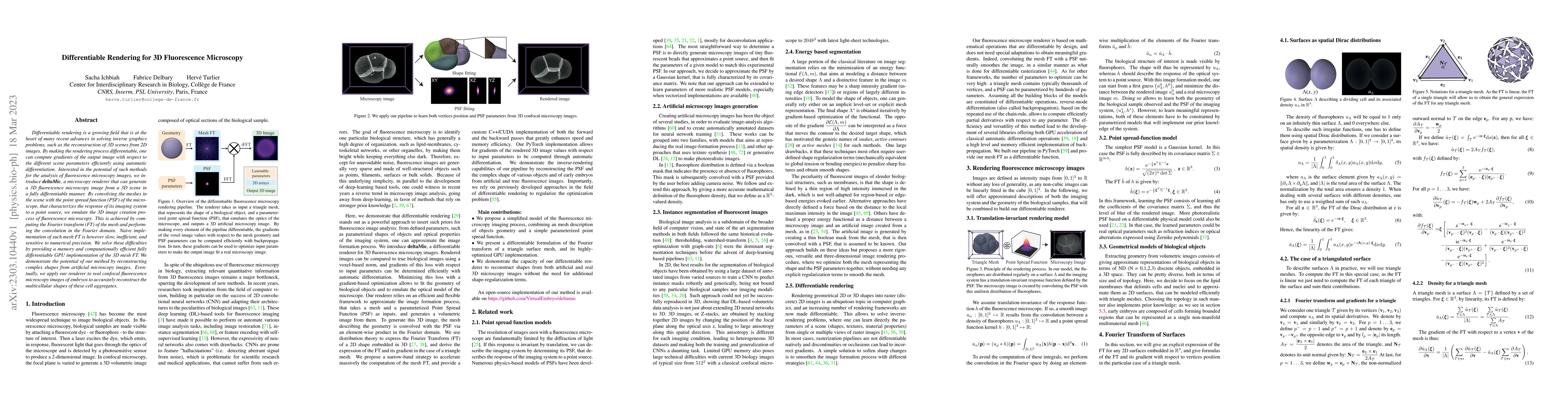 Thumbnail for Differentiable Rendering for 3D Fluorescence Microscopy