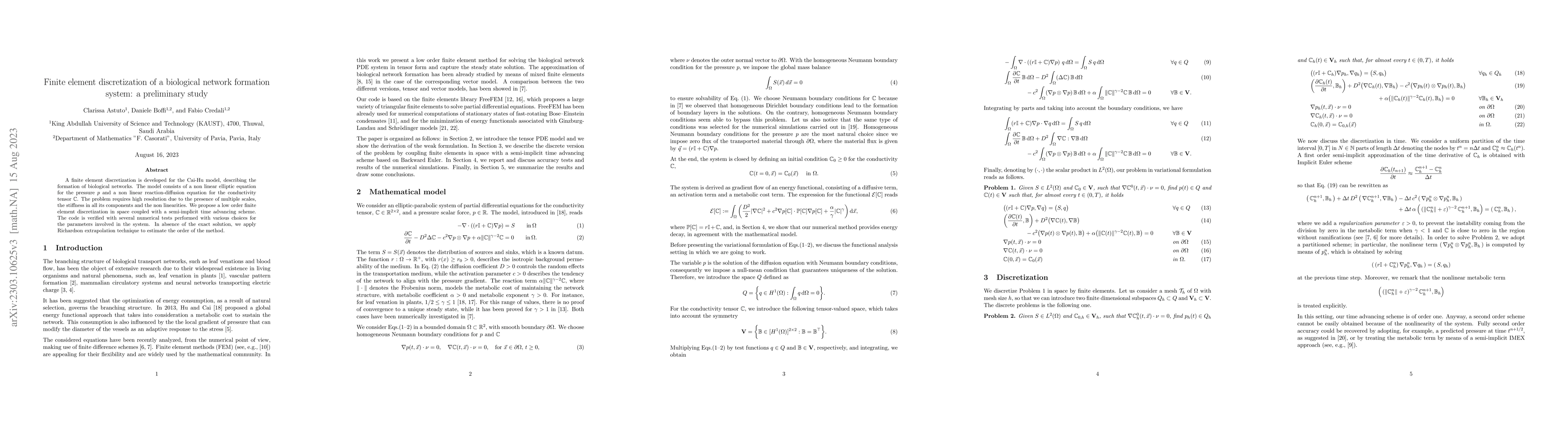 Thumbnail for Finite element discretization of a biological network formation system:
  a preliminary study