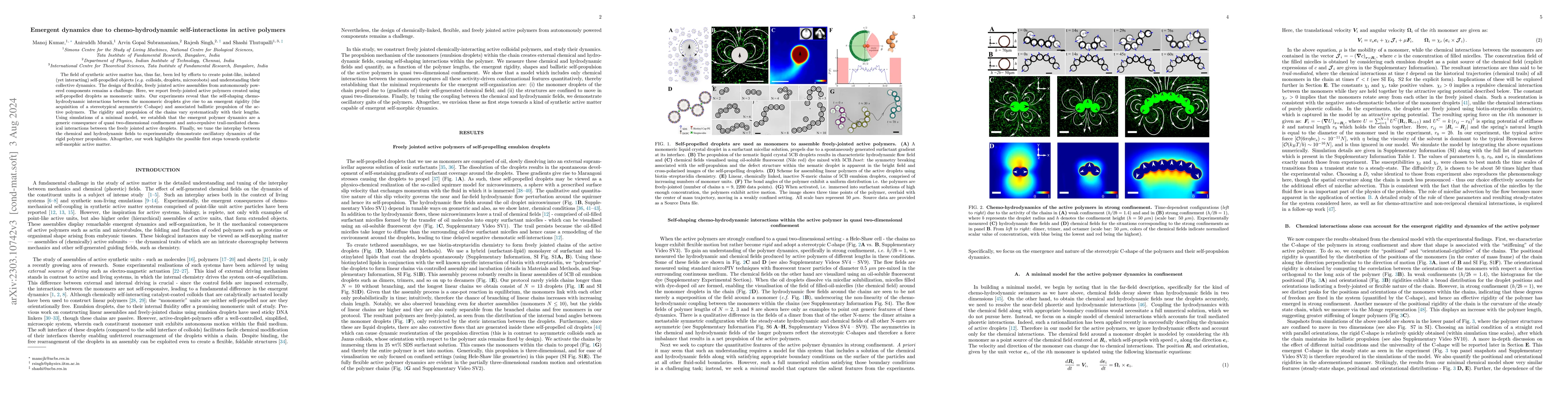 Thumbnail for Emergent dynamics due to chemo-hydrodynamic self-interactions in active
  polymers