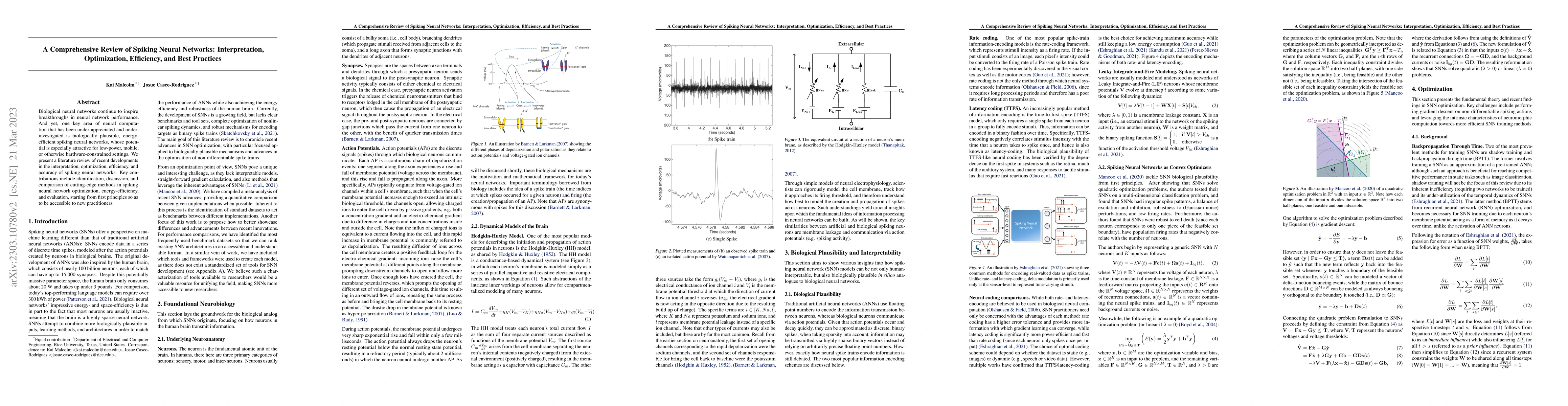 Thumbnail for A Comprehensive Review of Spiking Neural Networks: Interpretation,
  Optimization, Efficiency, and Best Practices