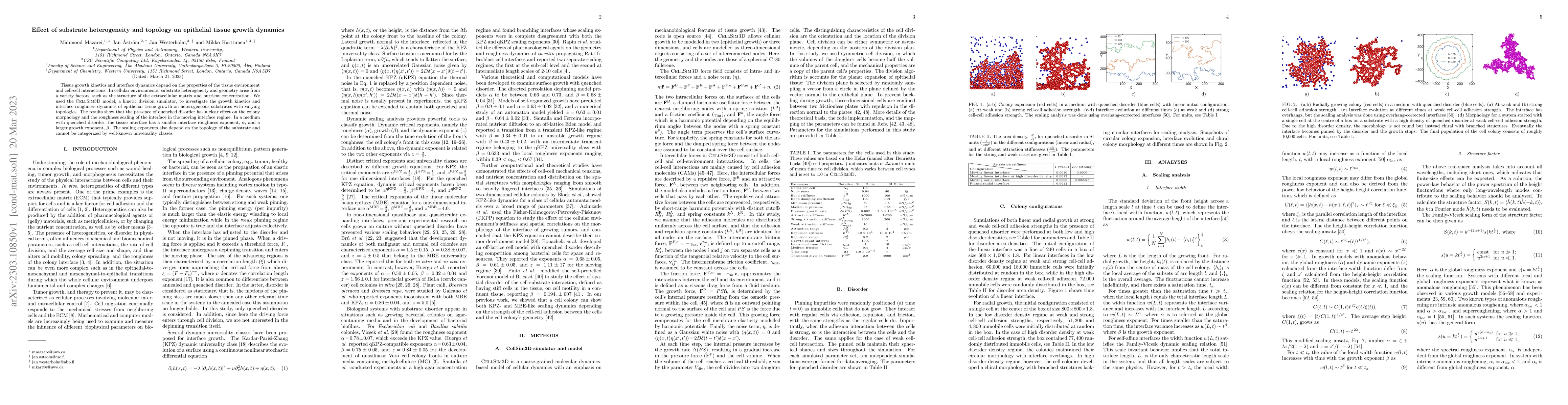 Thumbnail for Effect of substrate heterogeneity and topology on epithelial tissue
  growth dynamics