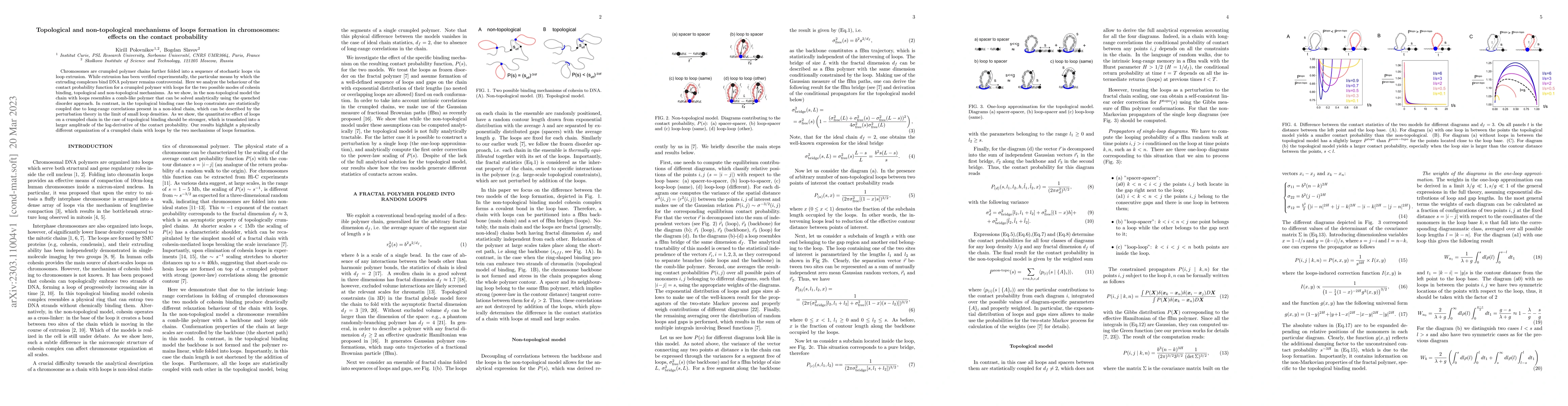 Thumbnail for Topological and non-topological mechanisms of loops formation in
  chromosomes: effects on the contact probability