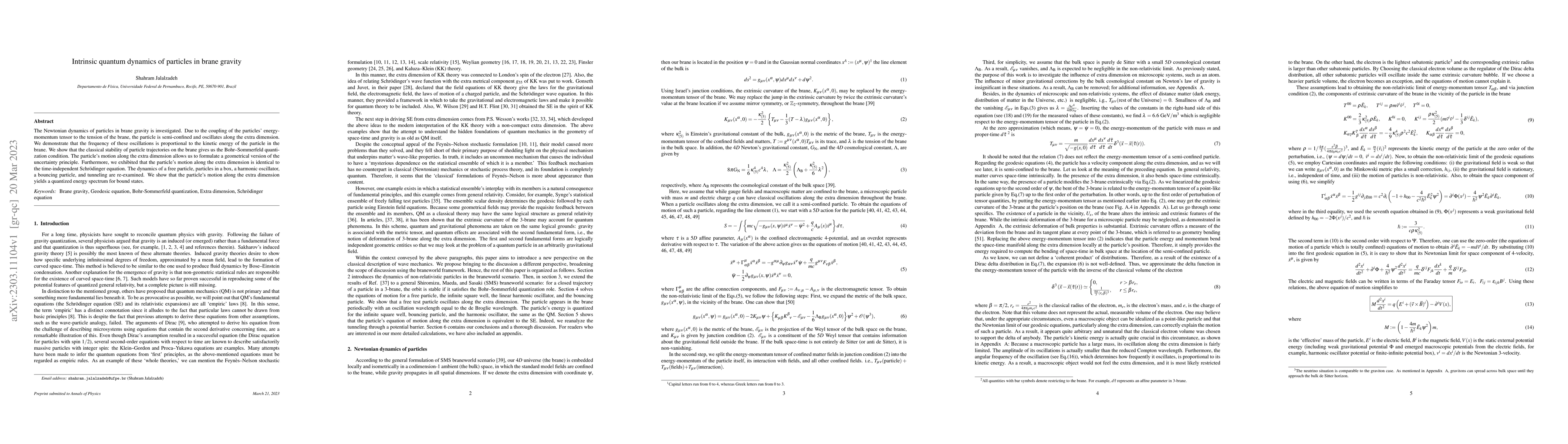 Thumbnail for Intrinsic quantum dynamics of particles in brane gravity