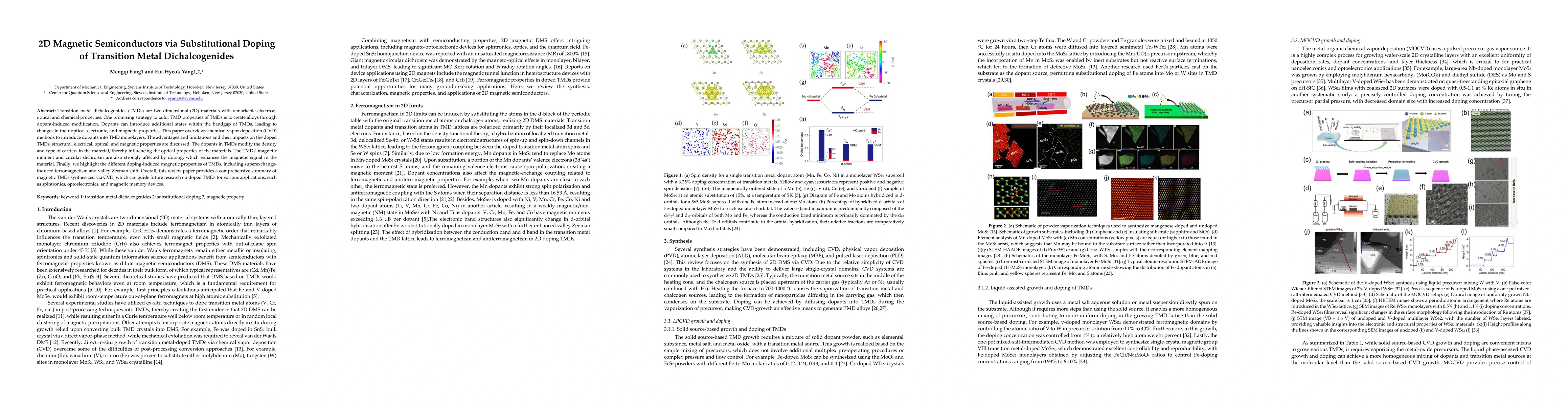 Thumbnail for 2D Magnetic Semiconductors via Substitutional Doping of Transition Metal
  Dichalcogenides