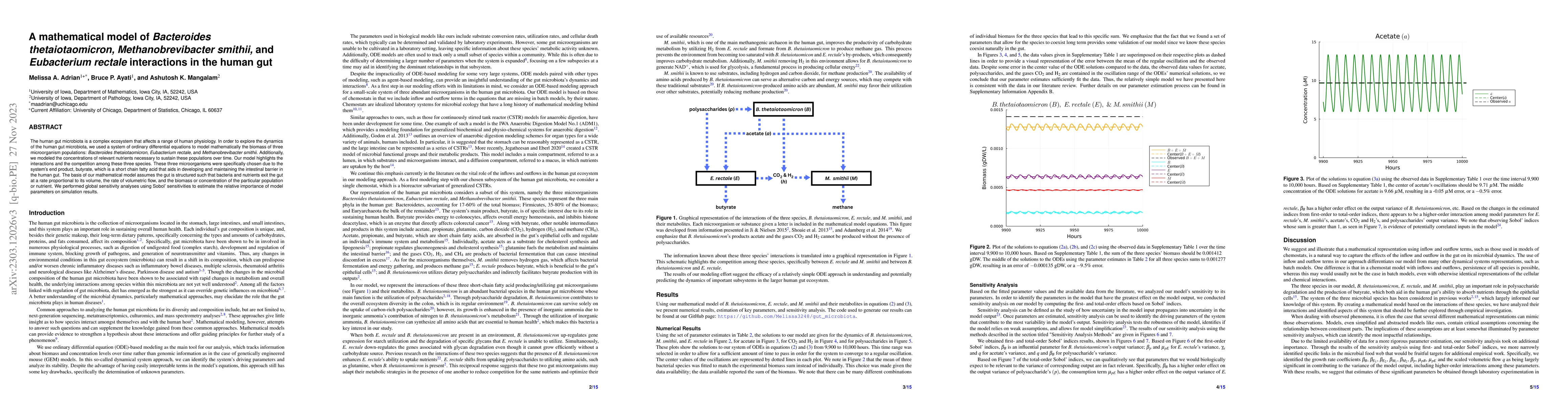 Thumbnail for A mathematical model of Bacteroides thetaiotaomicron, Methanobrevibacter
  smithii, and Eubacterium rectale interactions in the human gut