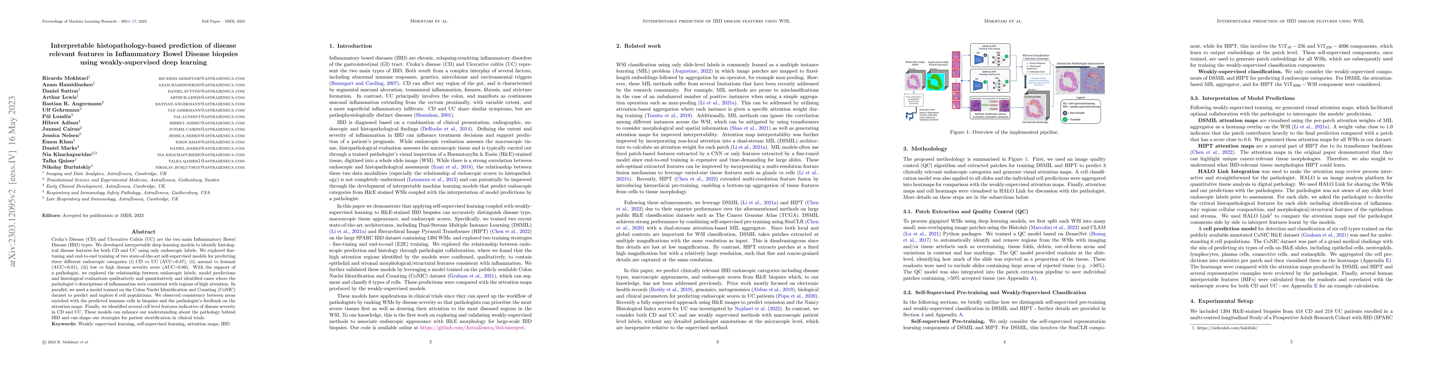 Thumbnail for Interpretable histopathology-based prediction of disease relevant
  features in Inflammatory Bowel Disease biopsies using weakly-supervised deep
  learning