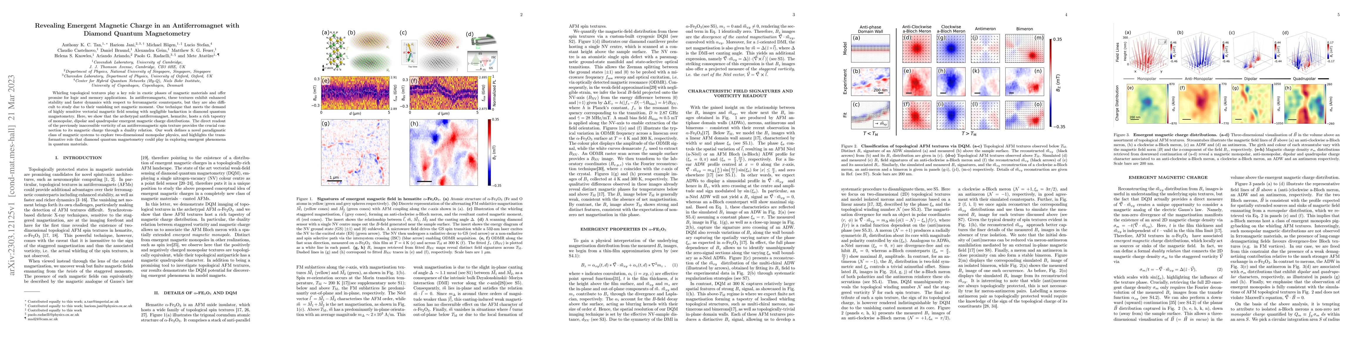 Thumbnail for Revealing Emergent Magnetic Charge in an Antiferromagnet with Diamond
  Quantum Magnetometry