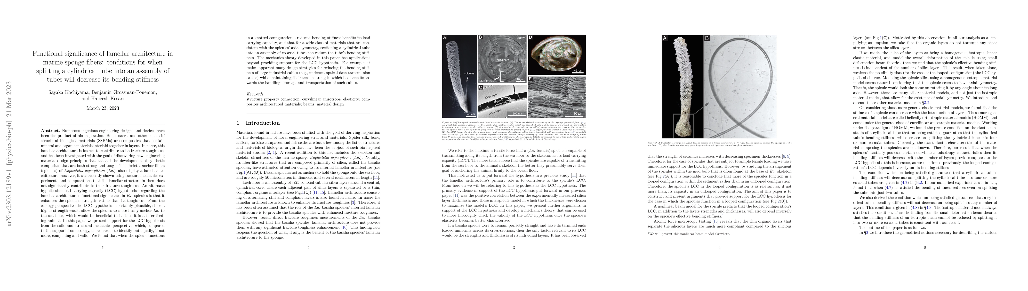 Thumbnail for Functional significance of lamellar architecture in marine sponge
  fibers: conditions for when splitting a cylindrical tube into an assembly of
  tubes will decrease its bending stiffness