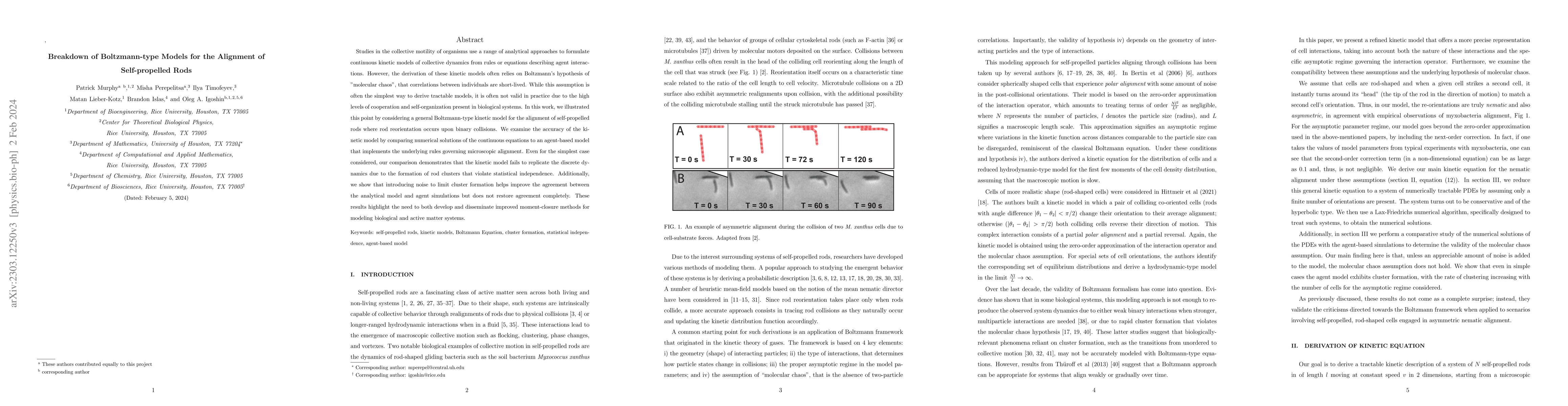 Thumbnail for Breakdown of Boltzmann-type Models for the Alignment of Self-propelled
  Rods