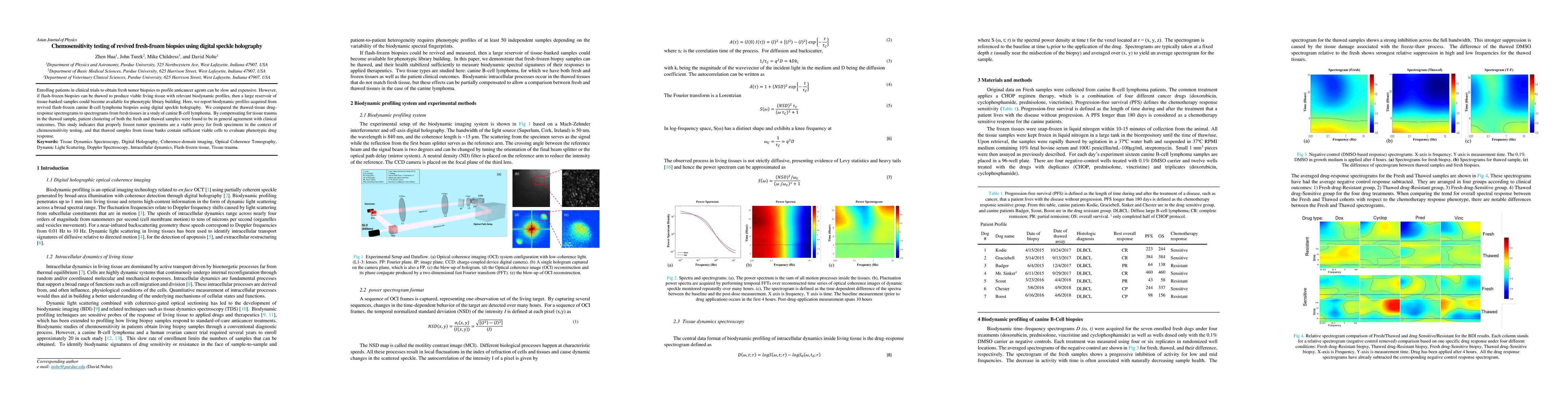 Thumbnail for Chemosensitivity testing of revived fresh-frozen biopsies using digital
  speckle holography