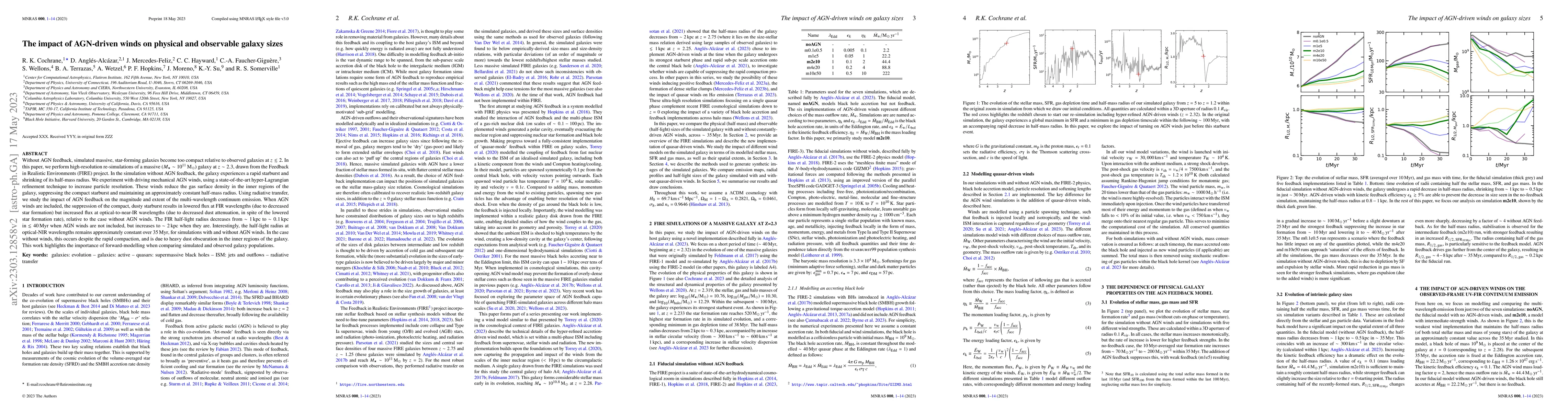 Thumbnail for The impact of AGN-driven winds on physical and observable galaxy sizes