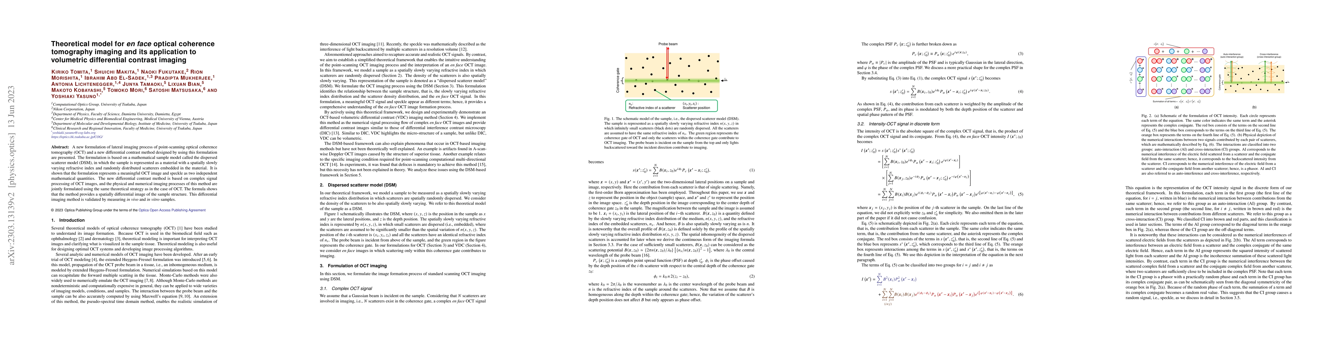 Thumbnail for Theoretical model for en face optical coherence tomography imaging and
  its application to volumetric differential contrast imaging