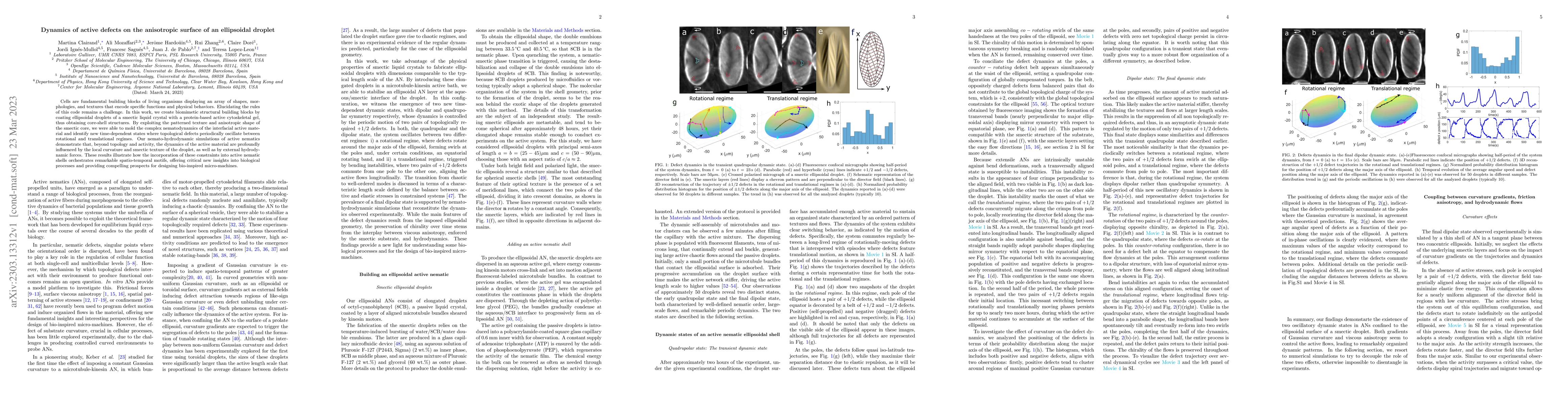 Thumbnail for Dynamics of active defects on the anisotropic surface of an ellipsoidal
  droplet