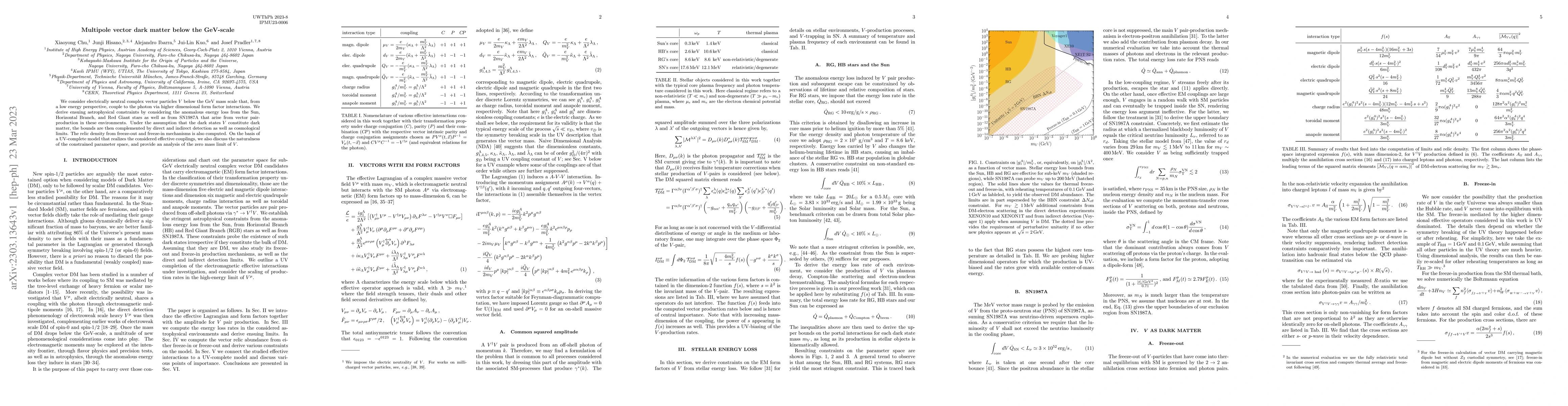Thumbnail for Multipole vector dark matter below the GeV-scale