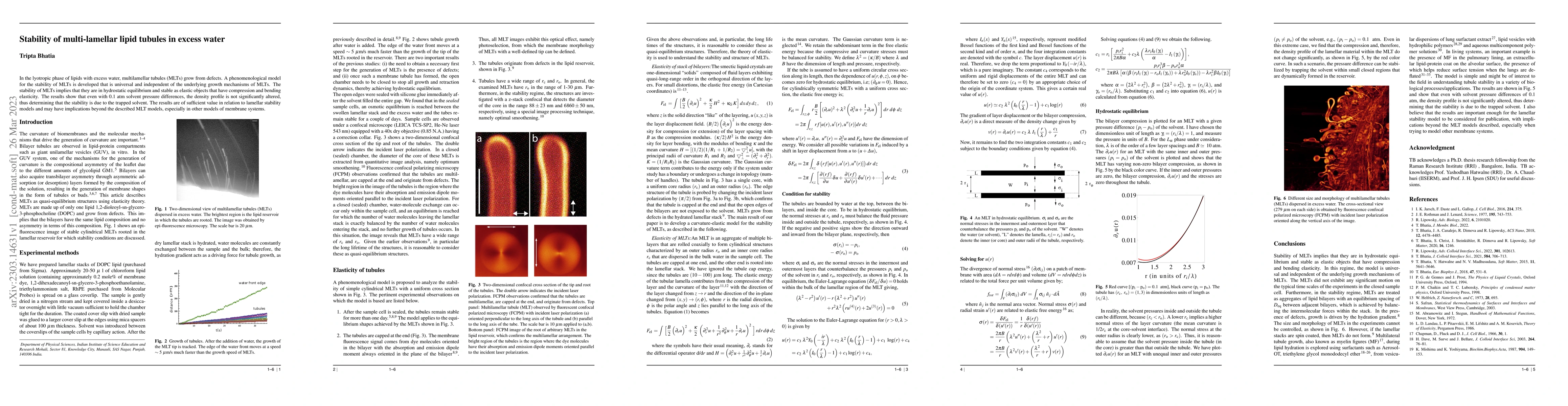 Thumbnail for Stability of multi-lamellar lipid tubules in excess water