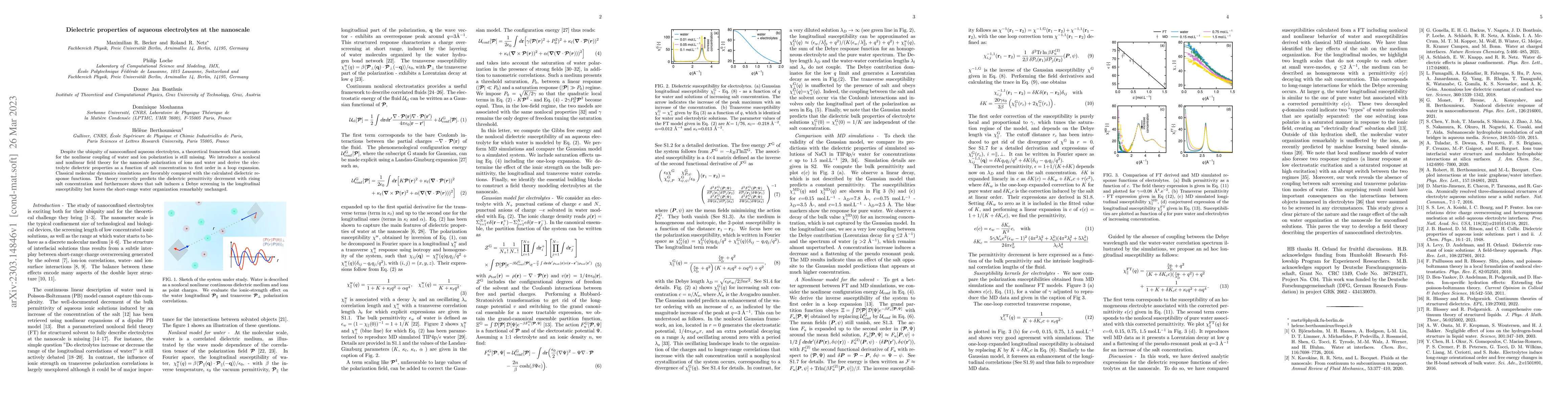 Thumbnail for Dielectric properties of aqueous electrolytes at the nanoscale
