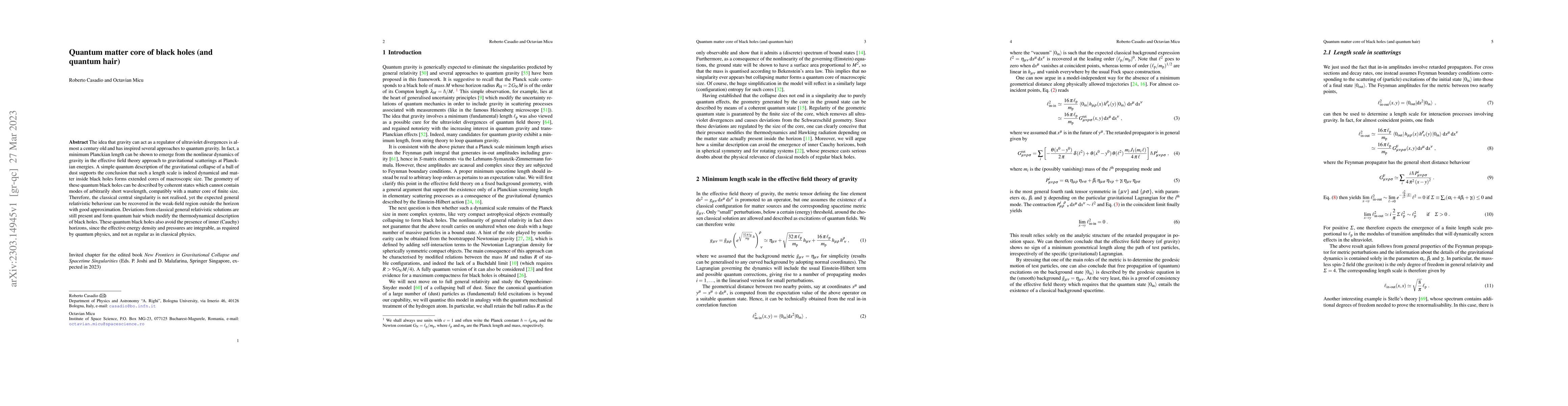 Thumbnail for Quantum matter core of black holes (and quantum hair)